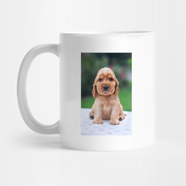 Spaniel Puppy by kawaii_shop